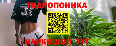 дмт Берёзовский