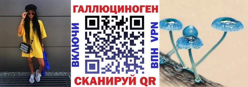 Псилоцибиновые грибы Psilocybine cubensis  Апшеронск 
